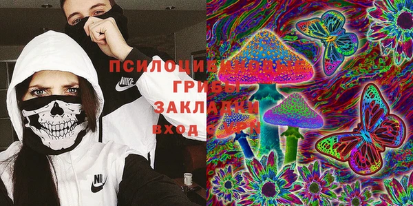 гашик Белокуриха