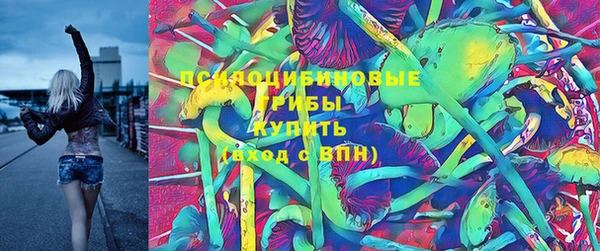 бутират Баксан