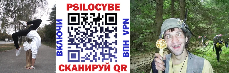 Псилоцибиновые грибы MAGIC MUSHROOMS  Вичуга 